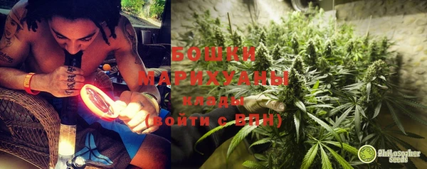 молекула духа Бердск